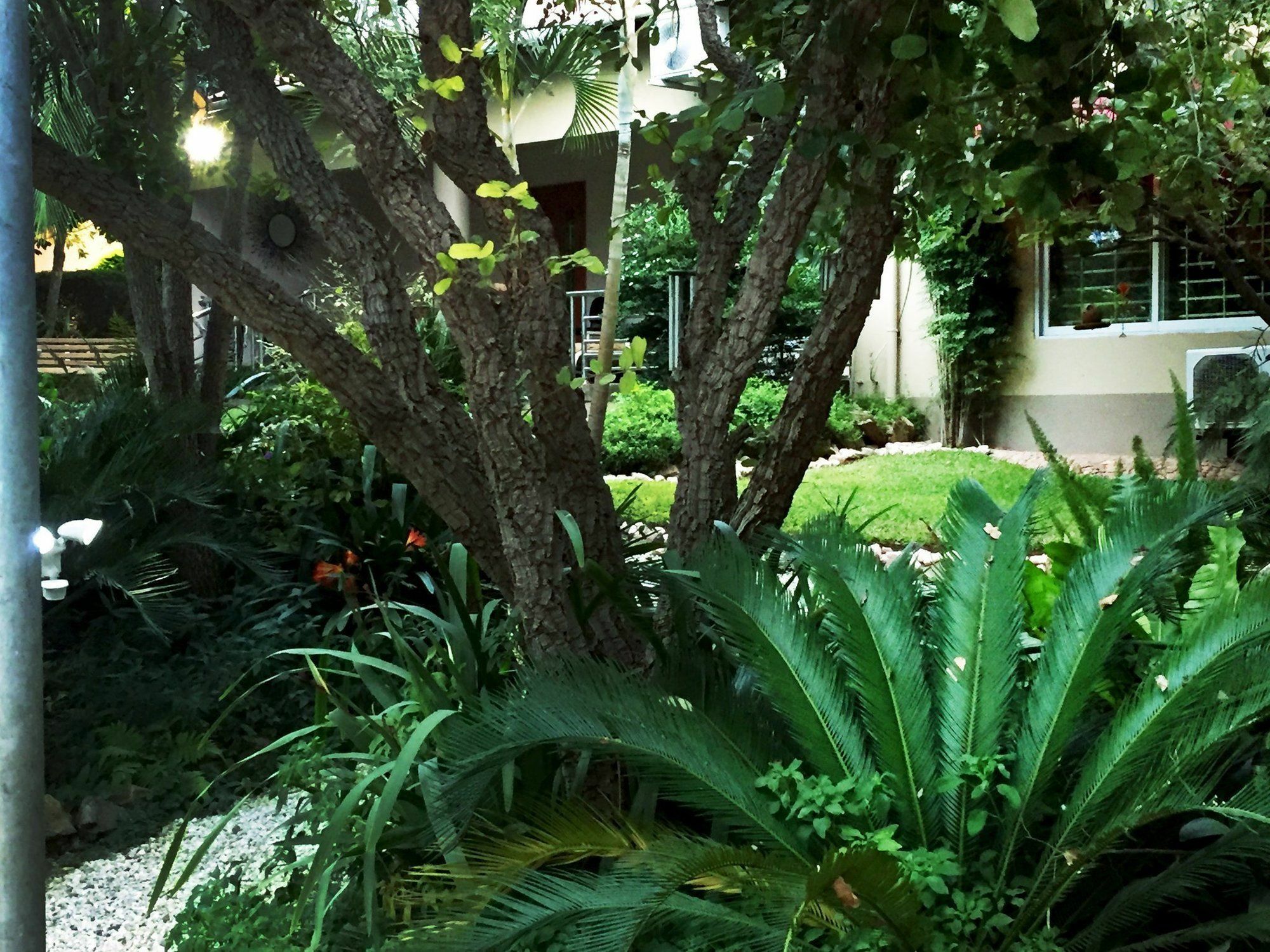 Palmwood Lodge ลุซากา ภายนอก รูปภาพ