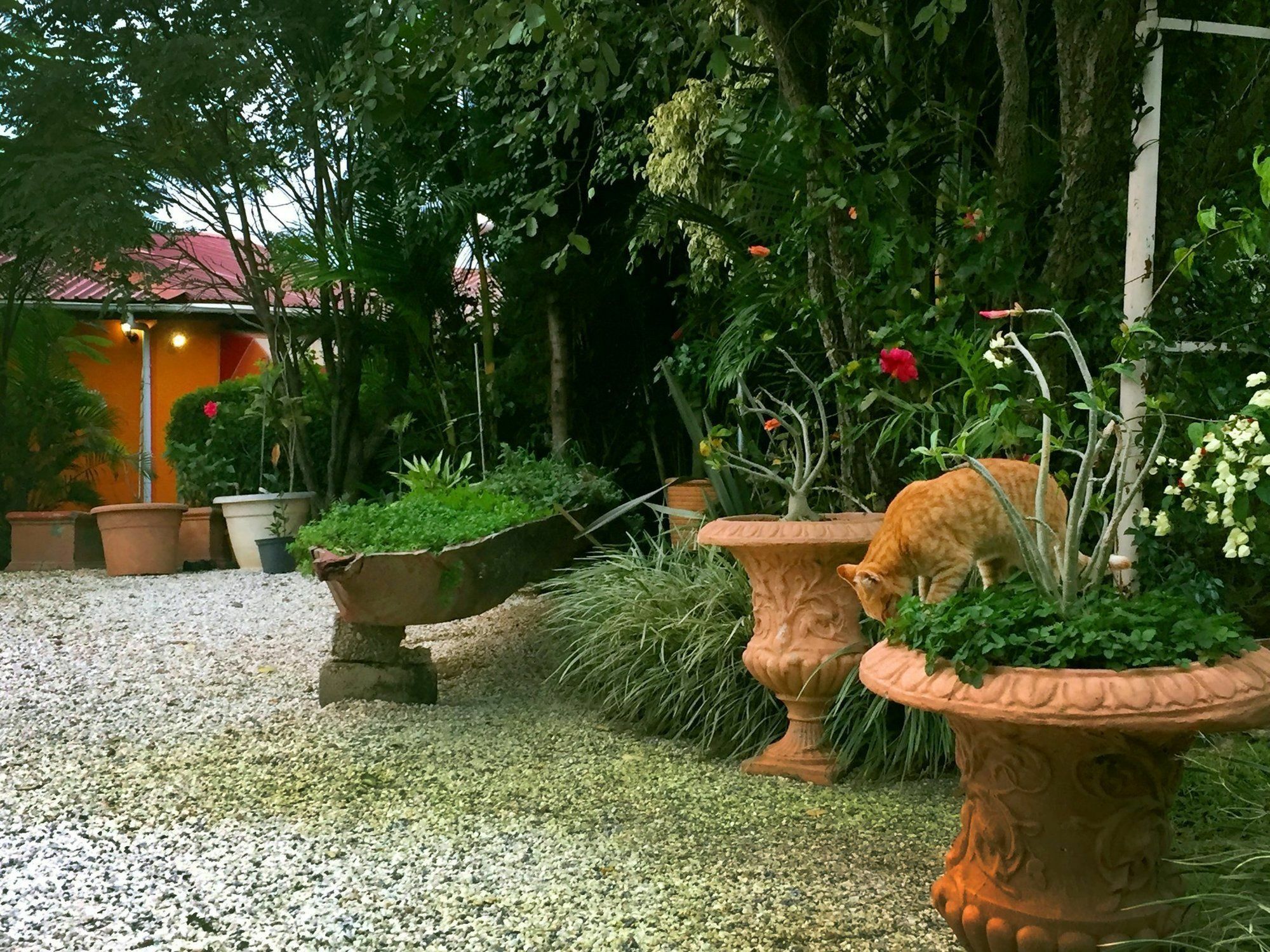 Palmwood Lodge ลุซากา ภายนอก รูปภาพ